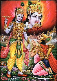 Krishnas universale Form